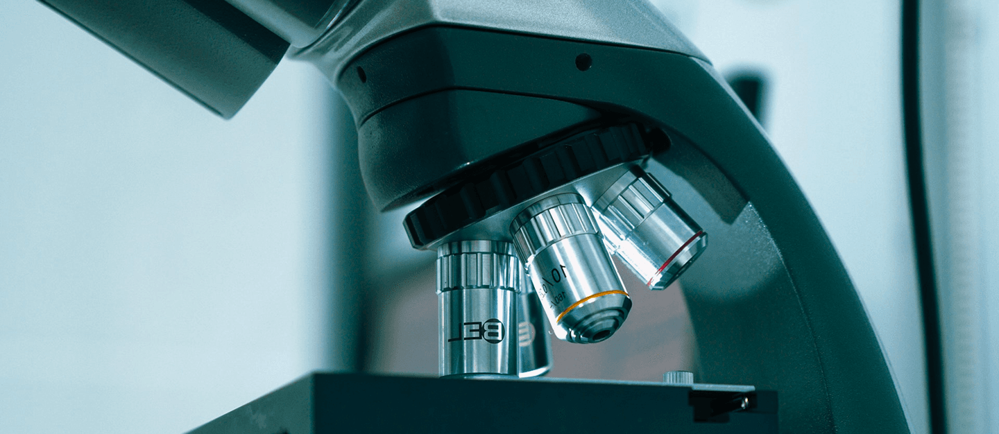 البحث العلمي